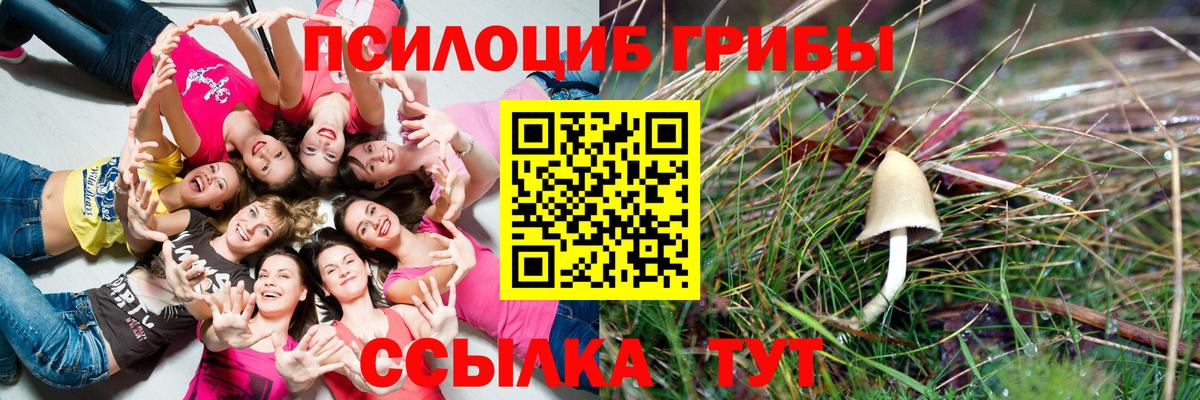 Южноуральск  где найти   Вход с VPN  Псилоцибиновые грибы Magic Shrooms 